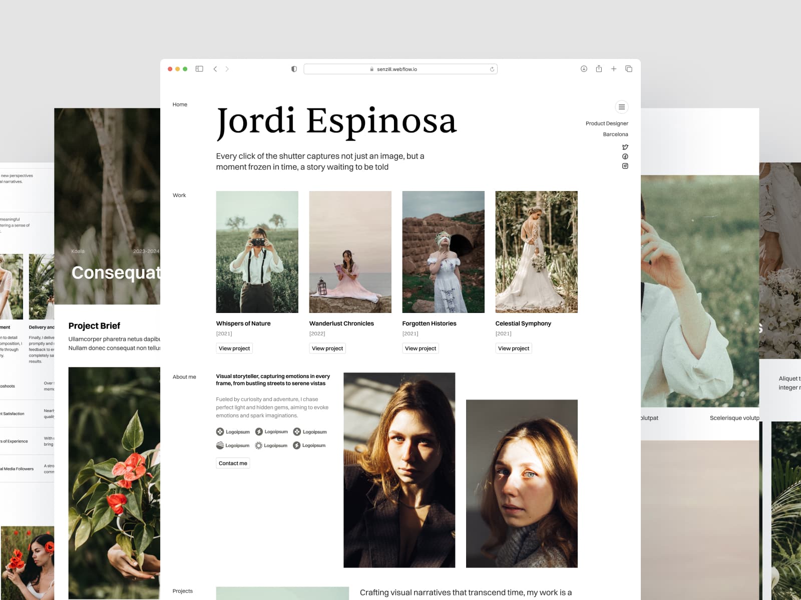 Senzill Portfolio Template template, main screen